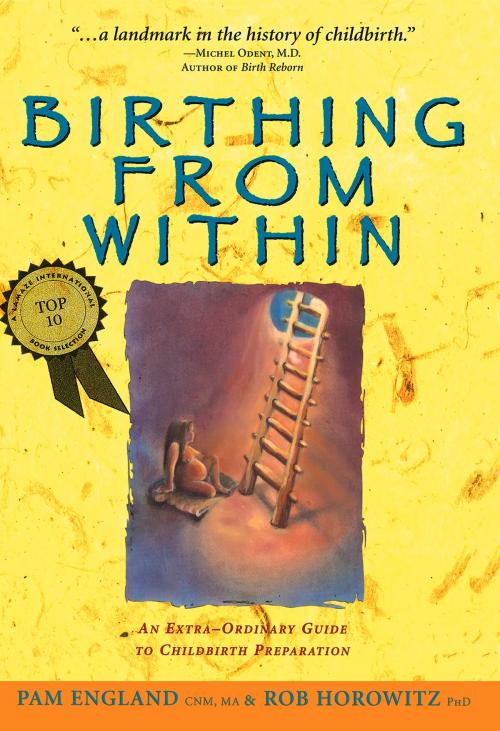 Cover of the book Birthing from Within by Pam England, CNM, MA, Rob Horowitz, PhD, Partera Press