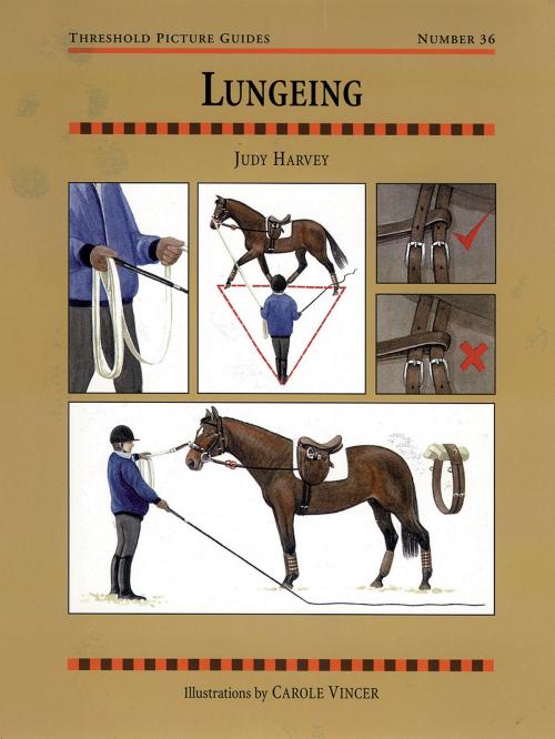Cover of the book LUNGEING by JUDY HARVEY, Quiller