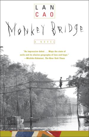 Cover of the book Monkey Bridge by Steve Laffey