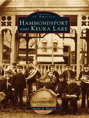Cover of the book Hammondsport and Keuka Lake by Adam Woog