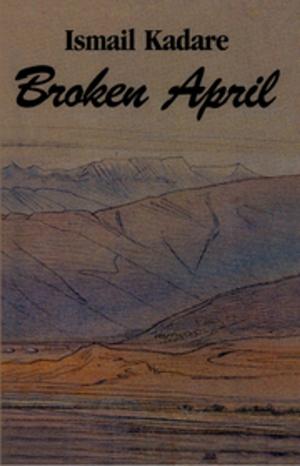 Book cover of Broken April