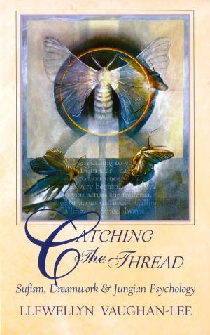 Cover of the book Catching the Thread by Llewellyn Vaughan-Lee, Sandra Ingerman, Joanna Macy, Thich Nhat Hanh, Bill Plotkin, Father Richard Rohr, Vandana Shiva, Brian Swimme, Mary Tucker, Wendell Berry