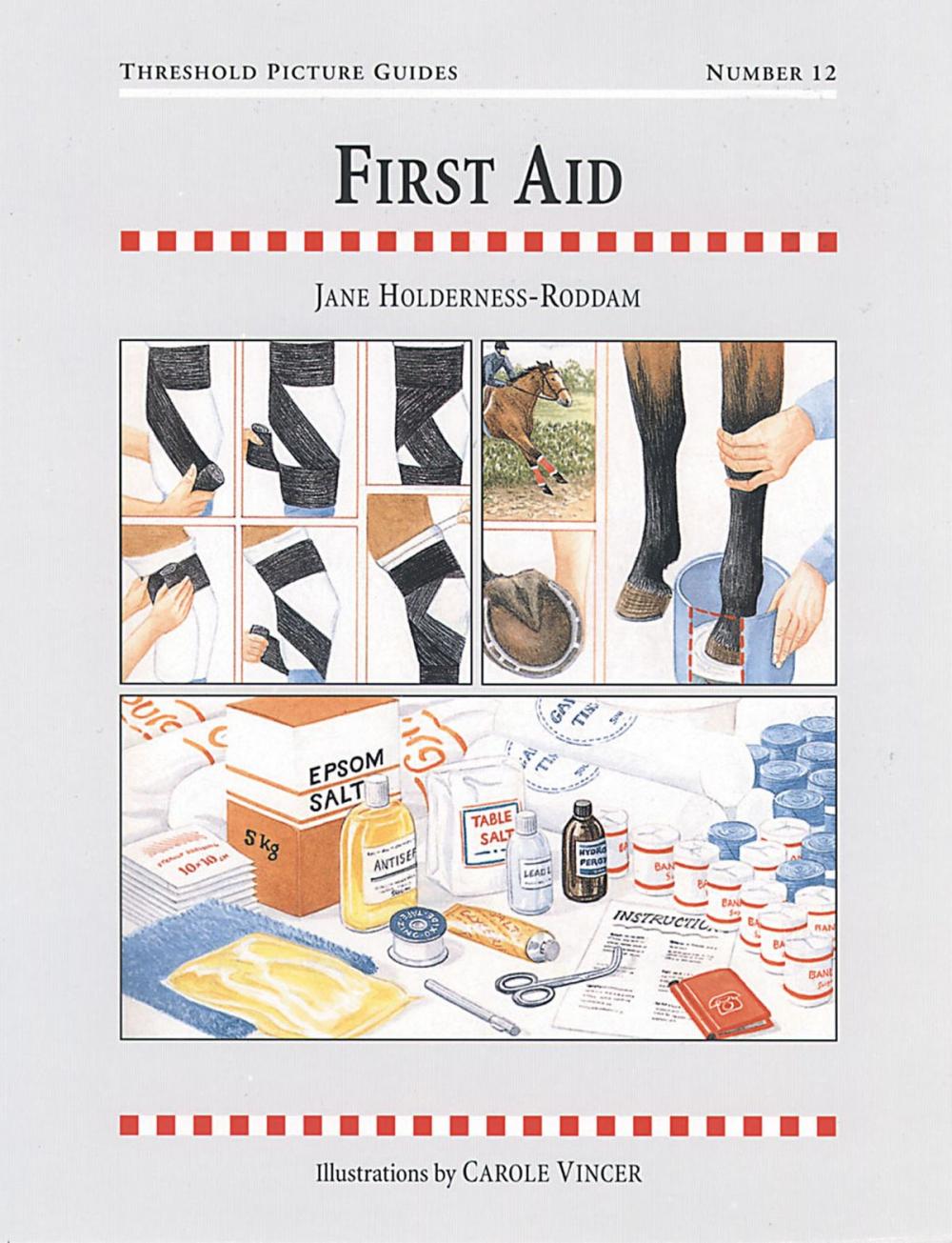 Big bigCover of FIRST AID