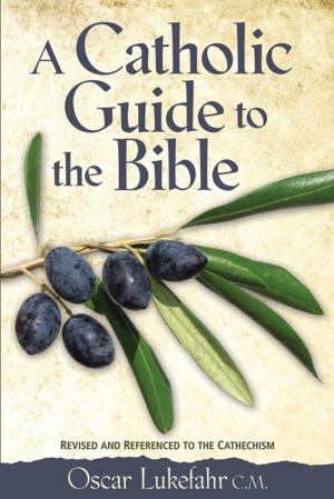 Book cover of A Catholic Guide to the Bible, Revised