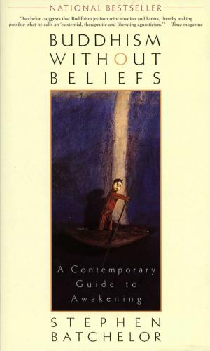 Cover of Buddhism without Beliefs