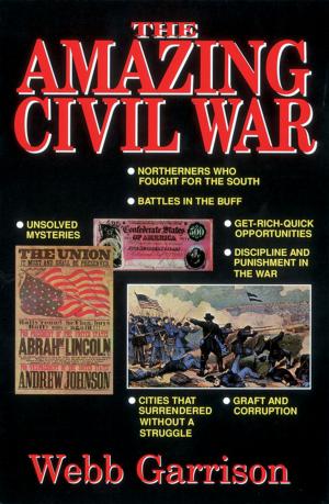 Cover of the book Amazing Women of the Civil War by Lindsay Terry