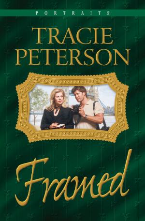Cover of the book Framed (Portraits Book #3) by Jerry Fleming