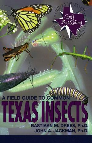 Cover of the book A Field Guide to Common Texas Insects by Gerry Hempel Davis