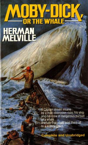 Cover of the book Moby Dick by Anne Strieber