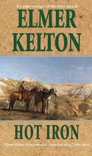 Cover of the book Hot Iron by Peter Watts