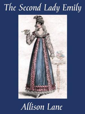Cover of the book The Second Lady Emily by Elizabeth Neff Walker