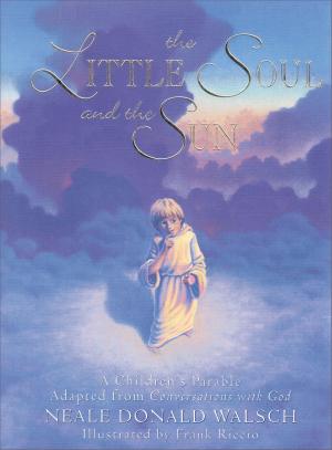 Book cover of The Little Soul and the Sun