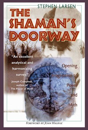 Cover of the book The Shaman's Doorway by Angel Jeanne