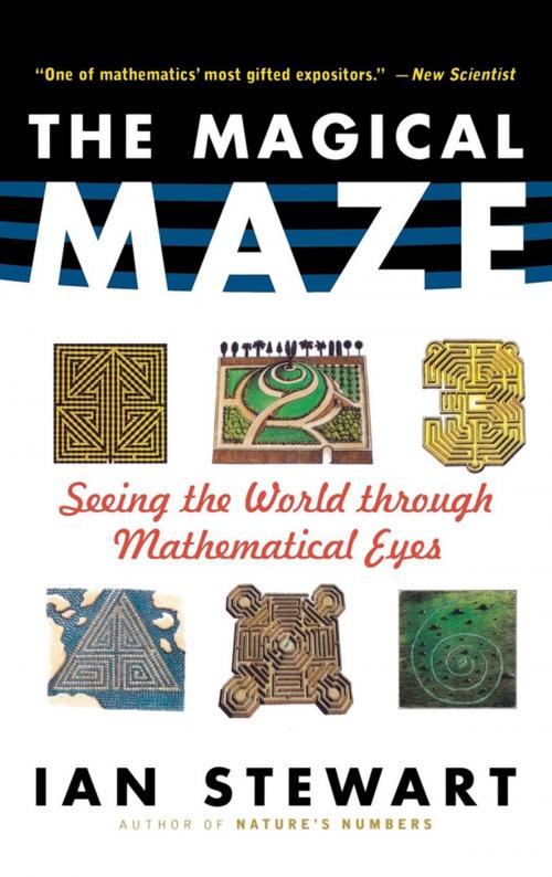 Cover of the book The Magical Maze by Ian Stewart, Turner Publishing Company