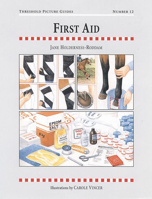 Cover of the book FIRST AID by JANE HOLDERNESS-RODDAM, Quiller