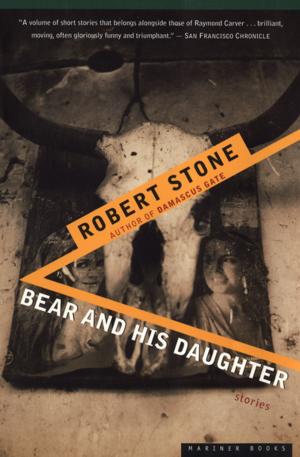 Book cover of Bear and His Daughter