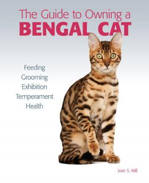 Cover of the book Guide to Owning a Bengal Cat by David E. Boruchowitz