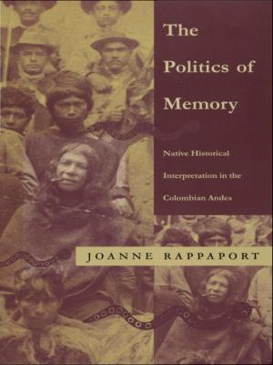 Cover of the book The Politics of Memory by José Antônio Rodrigues