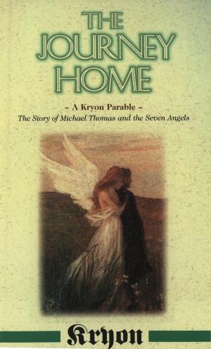 Cover of the book The Journey Home by Carl Johan Calleman, Ph.D.