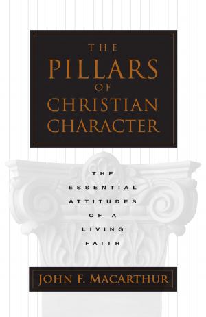 Cover of the book The Pillars of Christian Character by John Piper