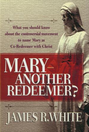 Book cover of Mary--Another Redeemer?