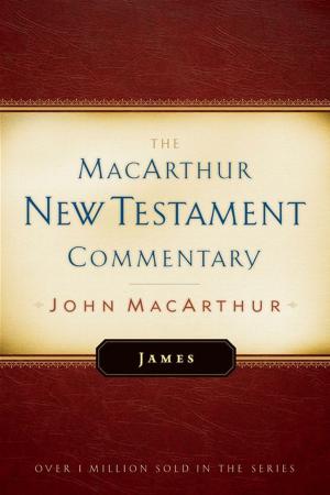 bigCover of the book James MacArthur New Testament Commentary by 