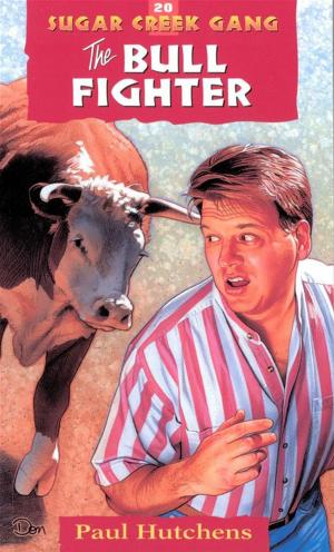 Cover of the book The Bull Fighter by Richard E. Todd