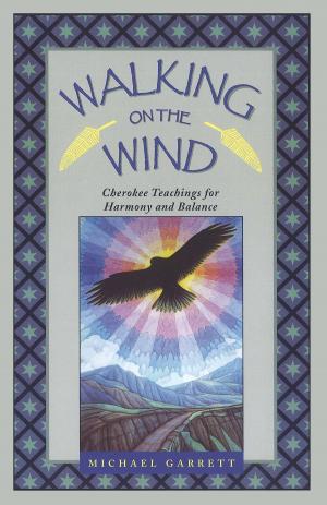 bigCover of the book Walking on the Wind by 