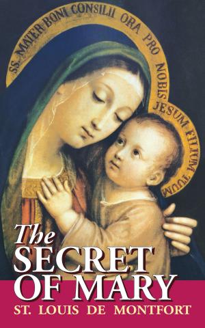 Book cover of The Secret of Mary