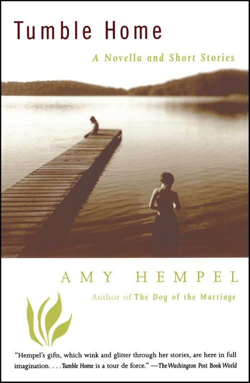 Cover of the book Tumble Home by Amy Hempel, Scribner