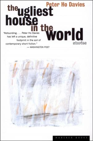 Cover of the book The Ugliest House in the World by Julie Larios