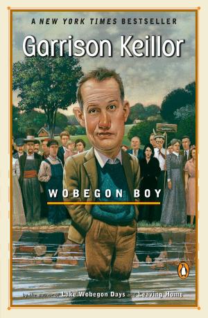 Cover of the book Wobegon Boy by Gwyn Hyman Rubio