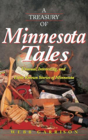 bigCover of the book A Treasury of Minnesota Tales by 
