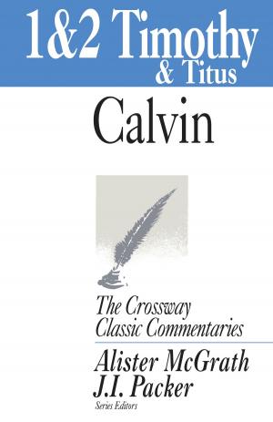 Cover of the book 1 and 2 Timothy and Titus by David R. Helm
