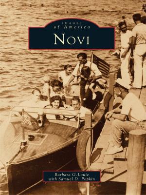 Cover of the book Novi by Scott Cain