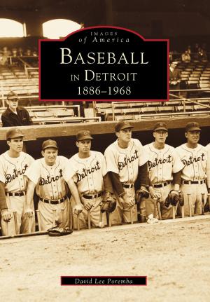 Cover of the book Baseball in Detroit by David C. Sennema, Martha D. Sennema