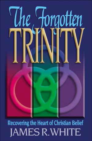 Cover of the book Forgotten Trinity, The by Charles H. Kraft, Ellyn Kearney, Mark White