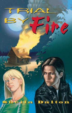Cover of the book Trial By Fire by Arthur Bousfield, Garry Toffoli