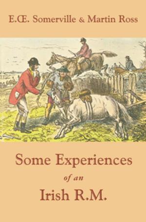Cover of the book Some Experiences of an Irish R.M. by Johnson Jones Hooper