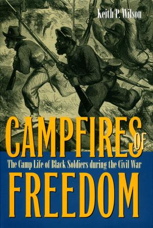 Cover of the book Campfires of Freedom by Kelly D. Mezurek