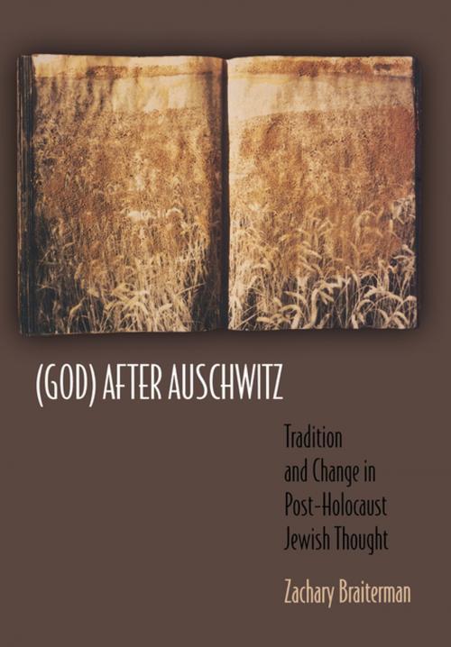 Cover of the book (God) After Auschwitz by Zachary Braiterman, Princeton University Press