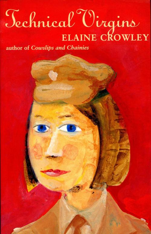 Cover of the book Technical Virgins by Elaine Crowley, The Lilliput Press