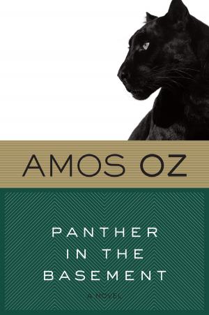 Cover of the book Panther in the Basement by Eleanor Estes