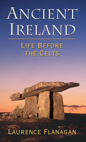 Cover of the book Ancient Ireland by Dr Patrick M. Geoghegan