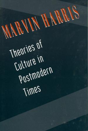 Cover of the book Theories of Culture in Postmodern Times by Mirra Komarovsky