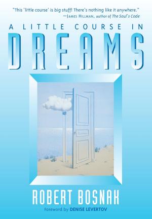 Cover of the book A Little Course in Dreams by Dennis Genpo Merzel