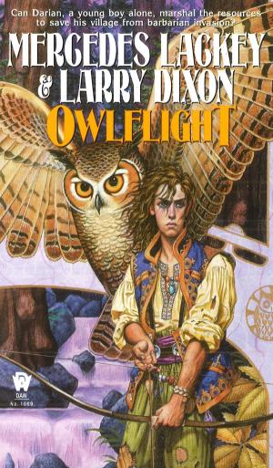 Cover of the book Owlflight by Tad Williams