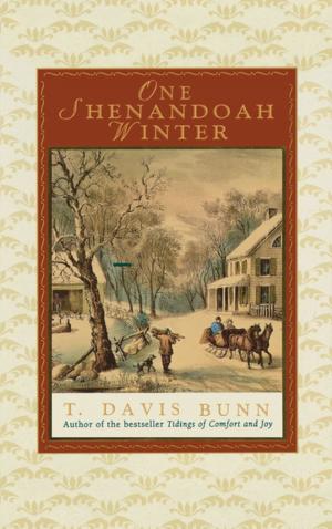 Cover of the book One Shenandoah Winter by Ted Dekker