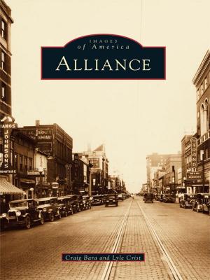 Cover of the book Alliance by Vince Guerrieri