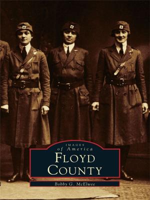Cover of the book Floyd County by Anita L. Werling, Bonnie J. Maxwell, Delphi Preservation Society, Inc.
